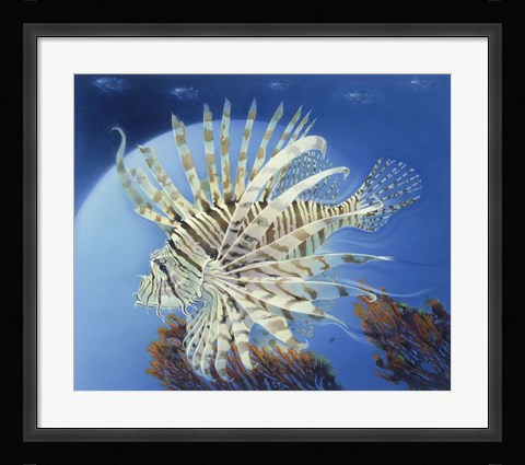 Framed Lion Fish Print
