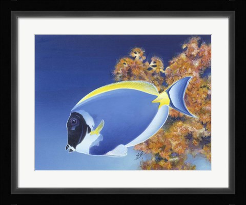Framed Powder Blue Tang Print
