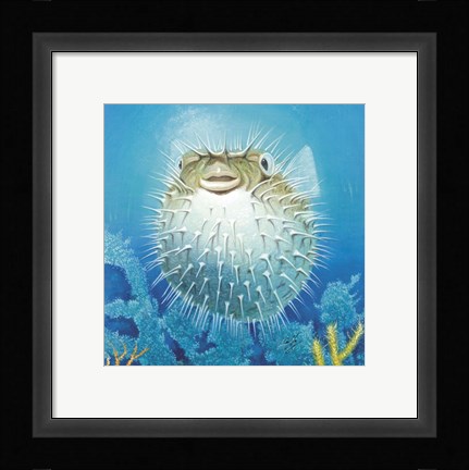 Framed Puffer Fish Print