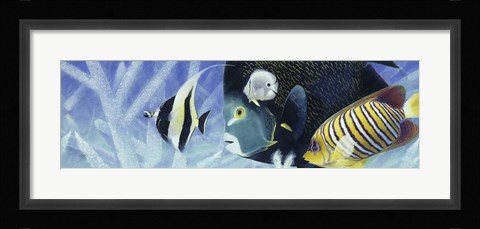 Framed Reef I Print