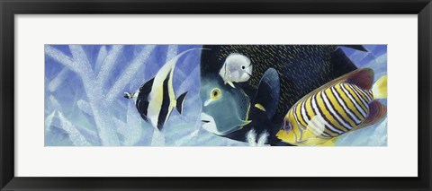 Framed Reef I Print