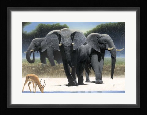 Framed Approach Print