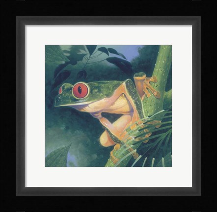 Framed Tree Frog Print