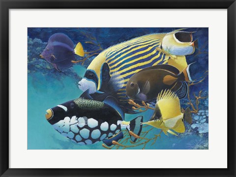 Framed Emporer Angel Print