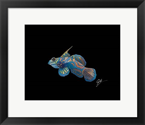 Framed Mandarin Print