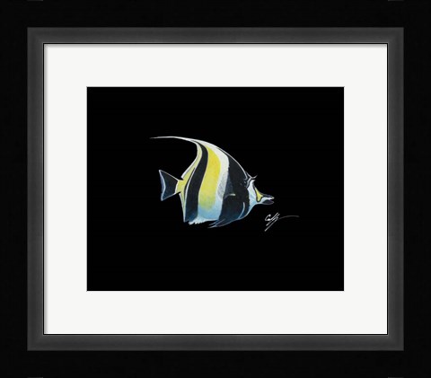 Framed Moorish Idol Print