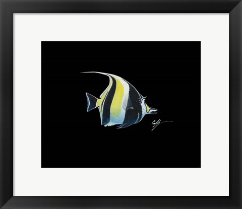 Framed Moorish Idol Print