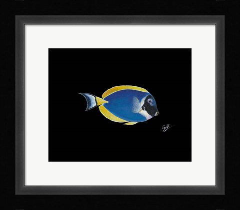 Framed Powder Blue Tang Print