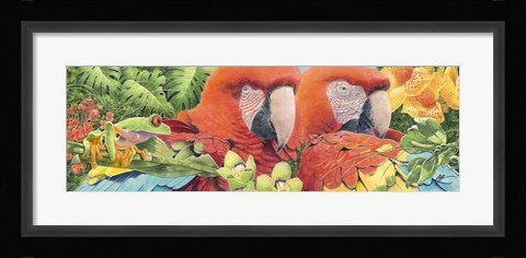 Framed Scarlet Macaws Print