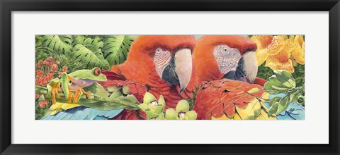 Framed Scarlet Macaws Print