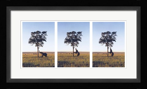 Framed Elephants Print