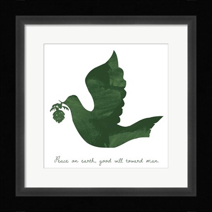 Framed Dove Print