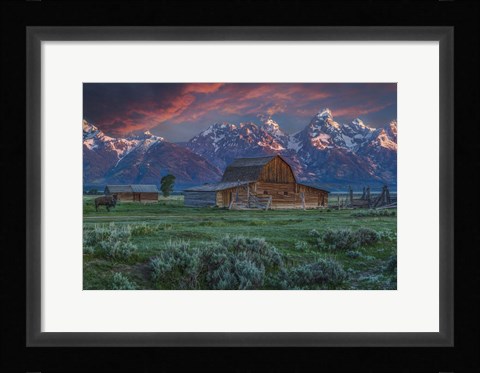 Framed Grand Teton Mormon Barn At Sunrise Print