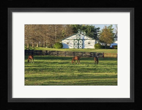 Framed Horse Farm Landscape Print
