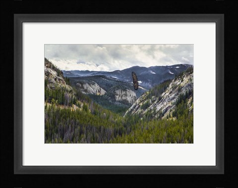 Framed Mountains With Eagle Print