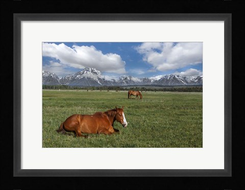Framed Teton Horses Print