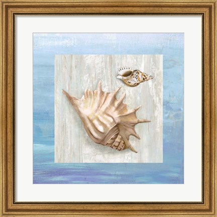 Framed From the Sea III Print