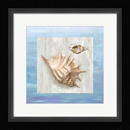 Framed From the Sea III Print