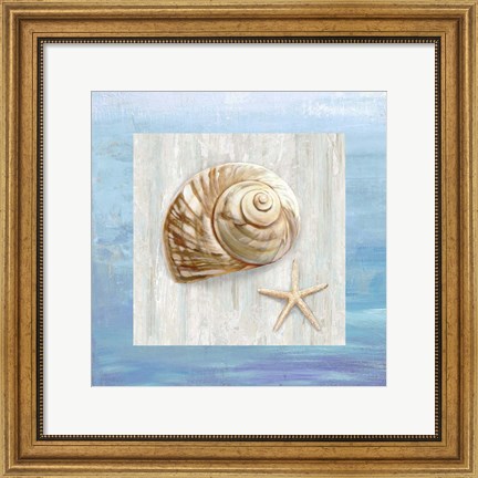 Framed From the Sea IV Print