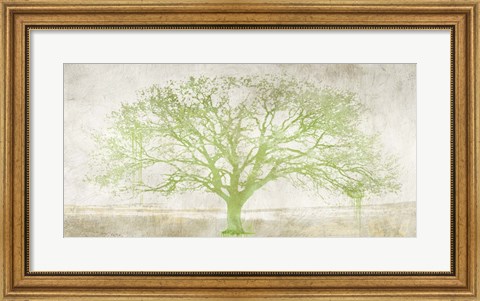 Framed Green Tree Print