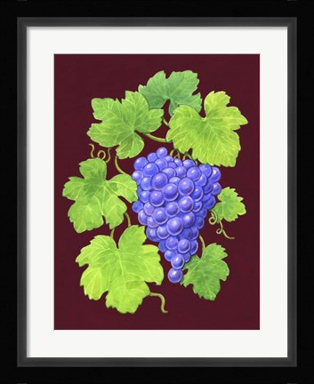 Framed Grapes Burgundy Print