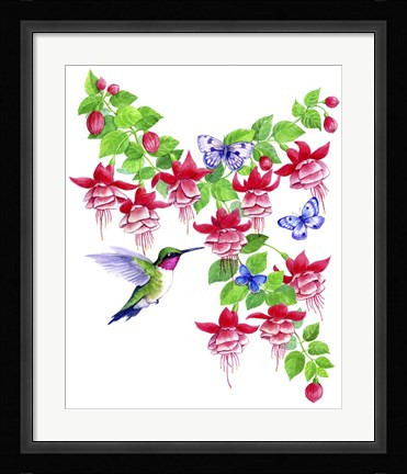 Framed Hummingbird Hibiscus Print