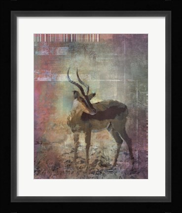 Framed Africa Antelope Print