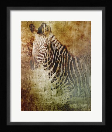 Framed Africa Zebra Print
