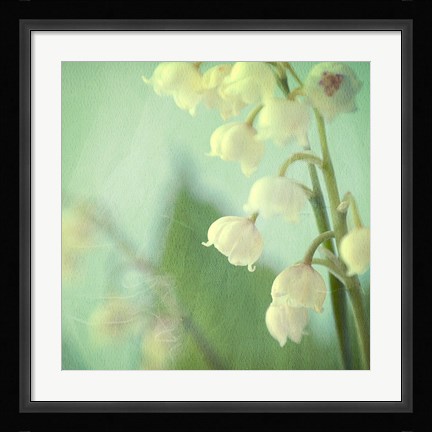 Framed Lily of the Valley Print