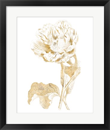 Framed Gilded Botanical VII Print