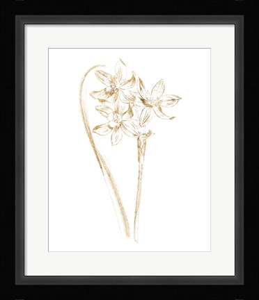 Framed Gilded Botanical IV Print