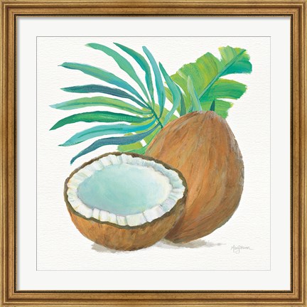 Framed Coconut Palm III Print