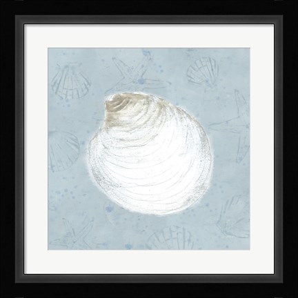 Framed Serene Shells IV Print