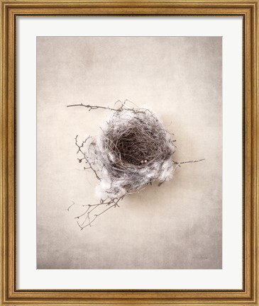 Framed Nest III Print