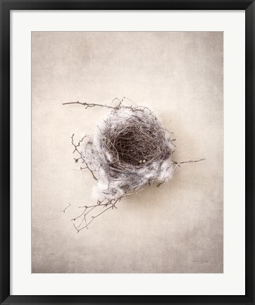 Framed Nest III Print