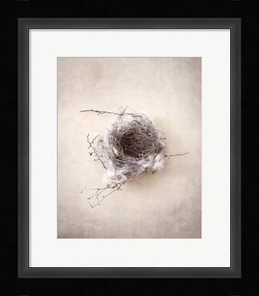 Framed Nest III Print