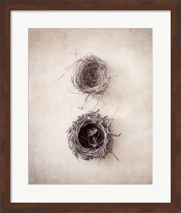 Framed Nest IV Print