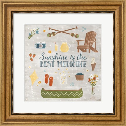Framed Summer Sunshine II Print