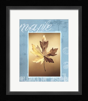 Framed Autumn II Print