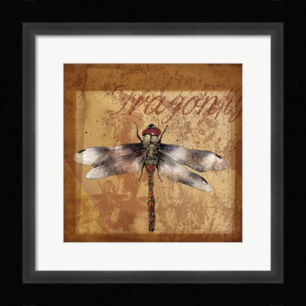 Framed Dragonfly I Print