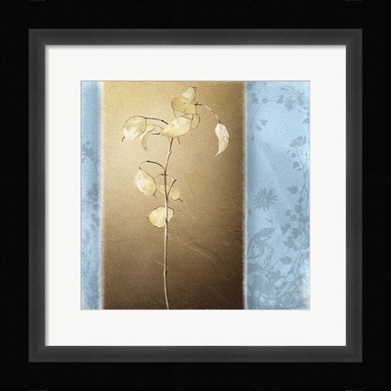 Framed Lunaria II Print