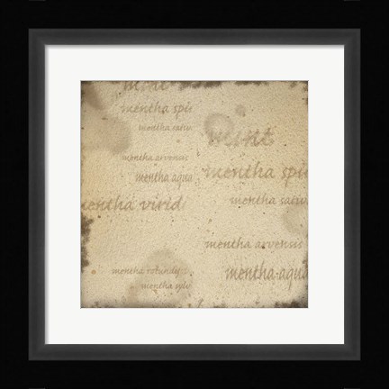 Framed Mint II Print