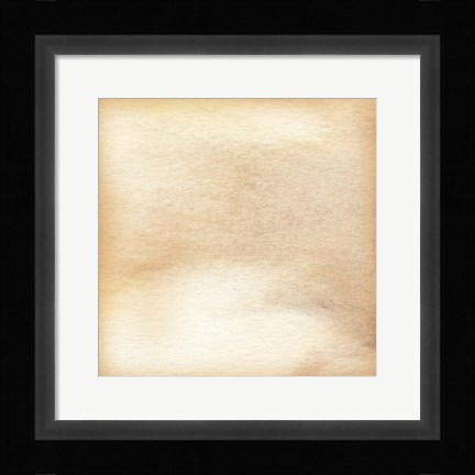 Framed Nautalis II Print