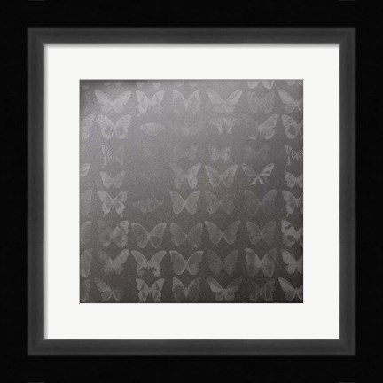 Framed Phalaenopsis II Print