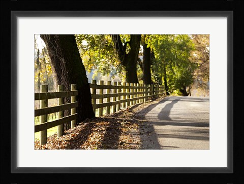 Framed Roadside Fence Print