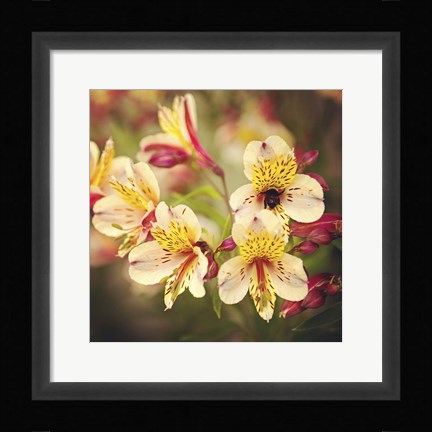 Framed Busy Bee Print