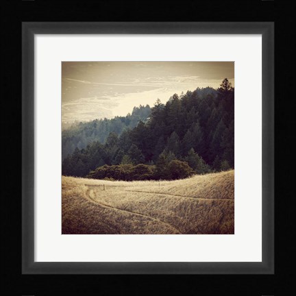 Framed Diverging Paths 2 Print