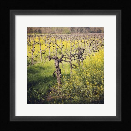 Framed Dry Creek Print
