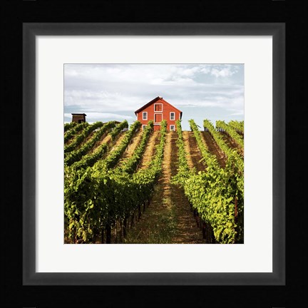 Framed Dry Creek Barn Print