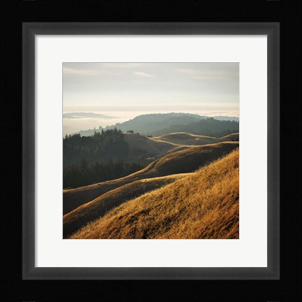 Framed Marin Hills Print